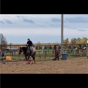 Looking for 7 for all mankind and ariat trouser jeans and thunder bird shirts